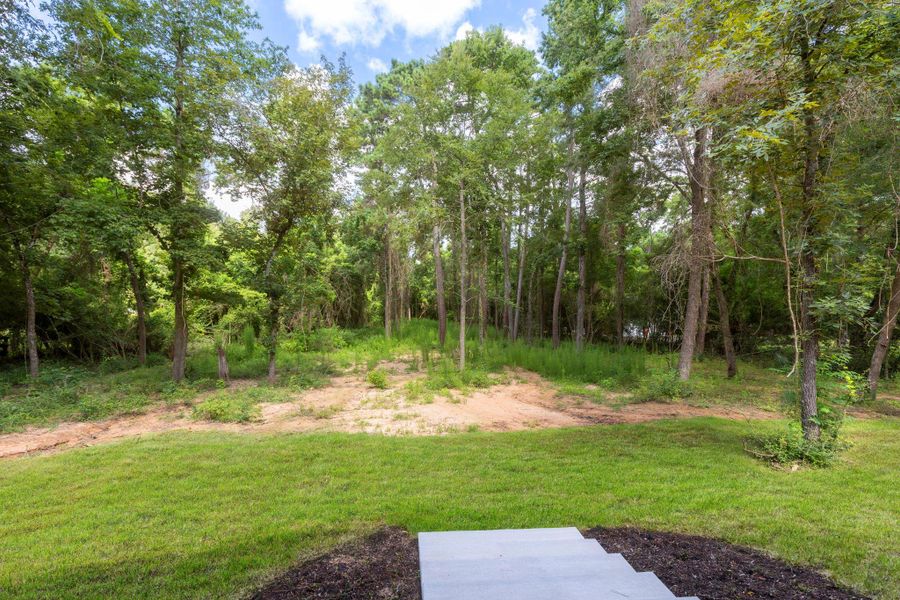 Huge peaceful and private backyard has endless possibilities! Huge peaceful and private backyard has endless possibilities!