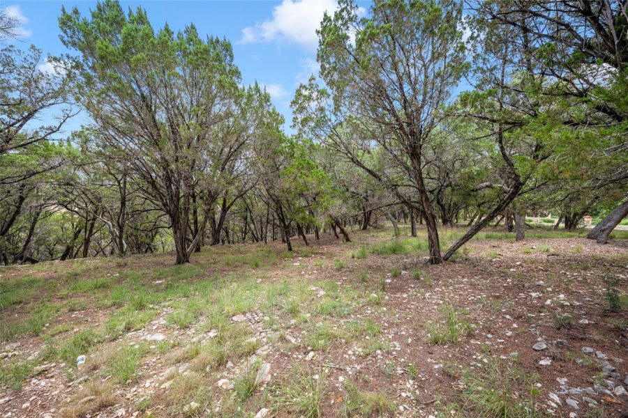 Mature trees and lush ground cover define this private, wooded lot. Mature trees and lush ground cover define this private, wooded lot.