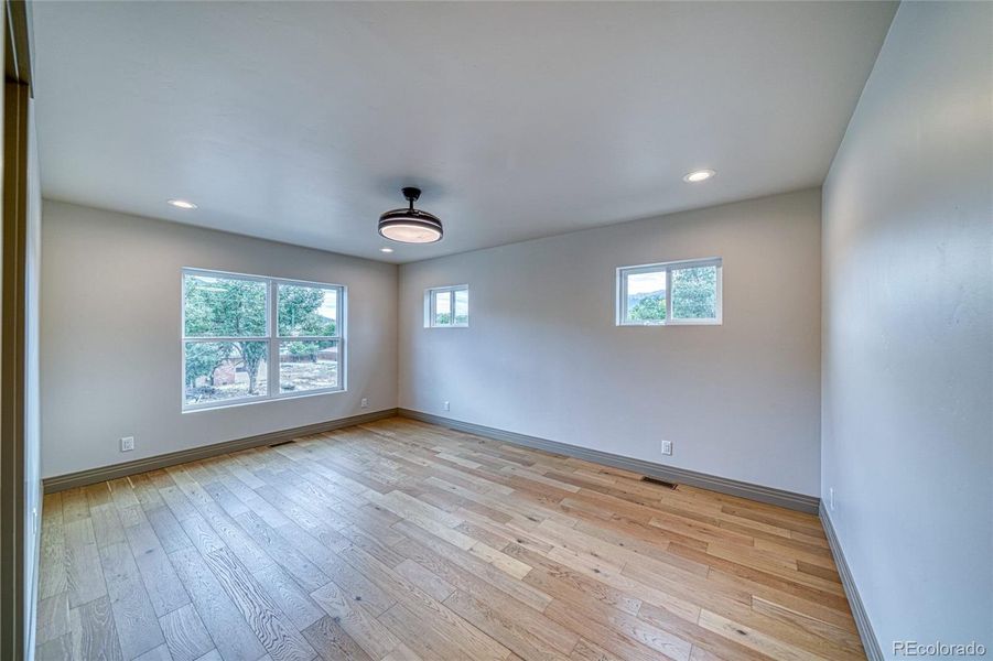 Bedroom #2. This light is also a ceiling fan with blades that come out.
