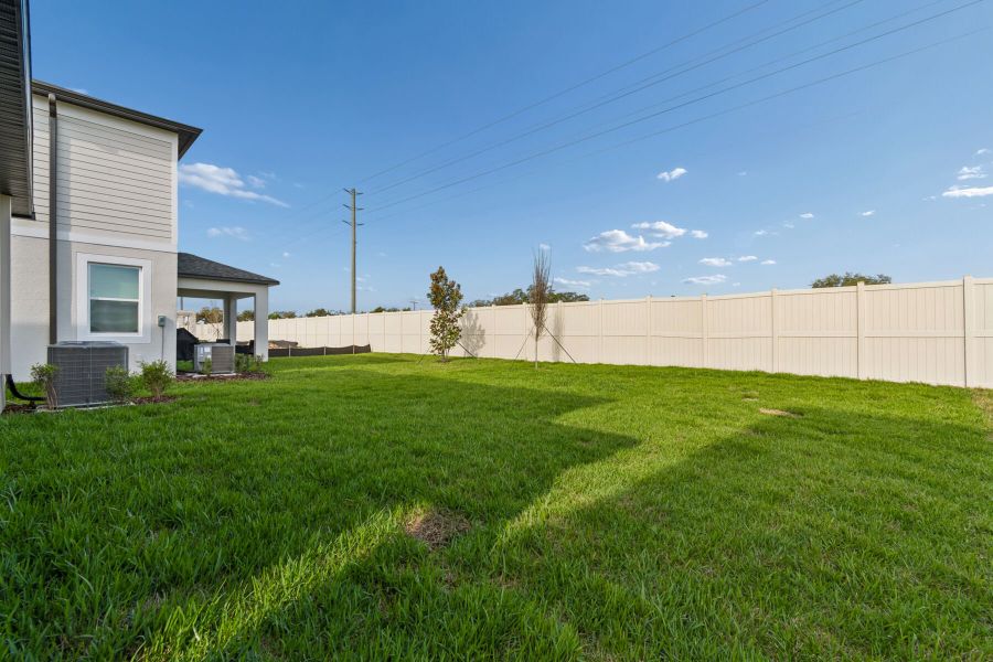 Backyard