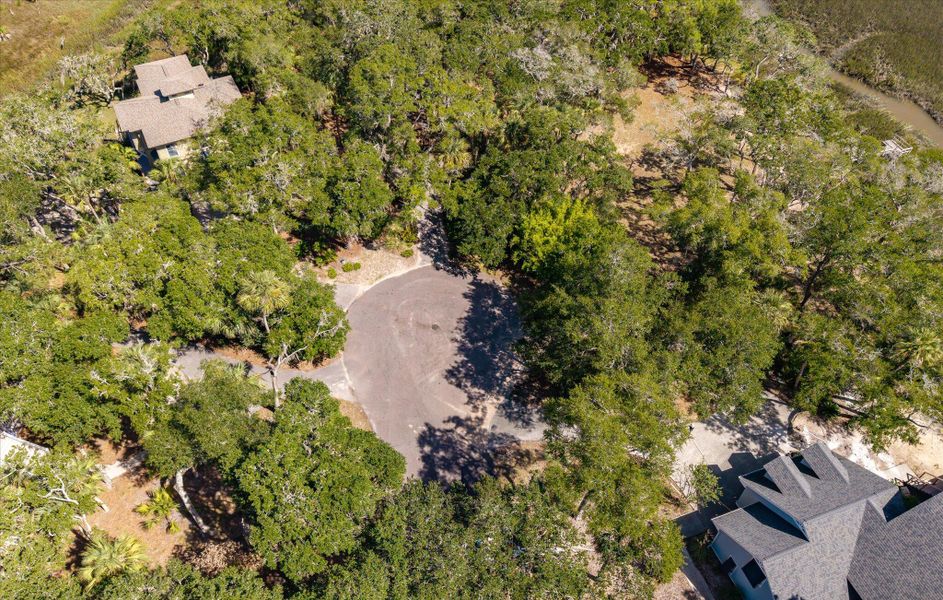Natural landscape and outdoor views near  in Seabrook Island (Image 17).