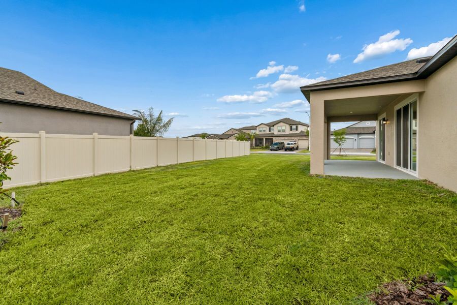 Backyard Backyard