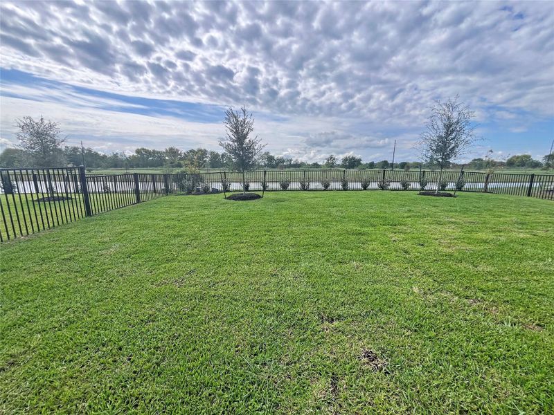Natural landscape and outdoor views near Sierra Vista 60's in Iowa Colony (Image 20). Natural landscape and outdoor views near Sierra Vista 60's in Iowa Colony (Image 20).