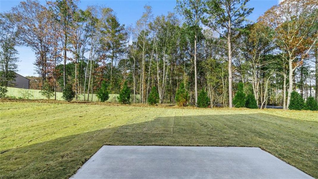 Natural landscape and outdoor views near Willowbrook in Winder (Image 36).