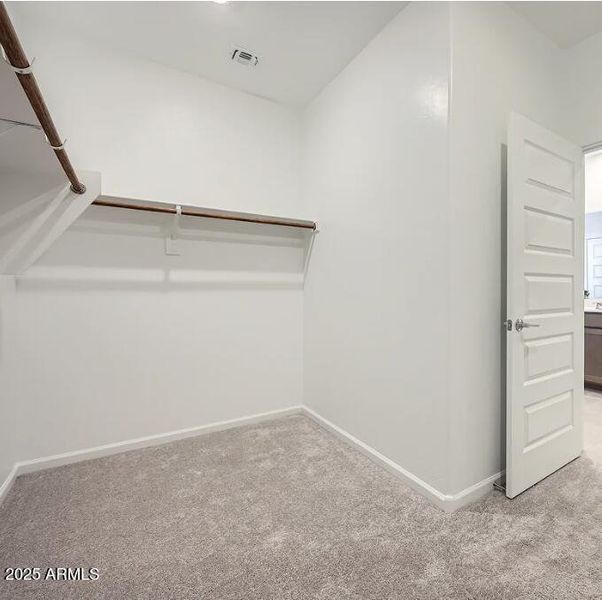 Owner's Walk in Closet