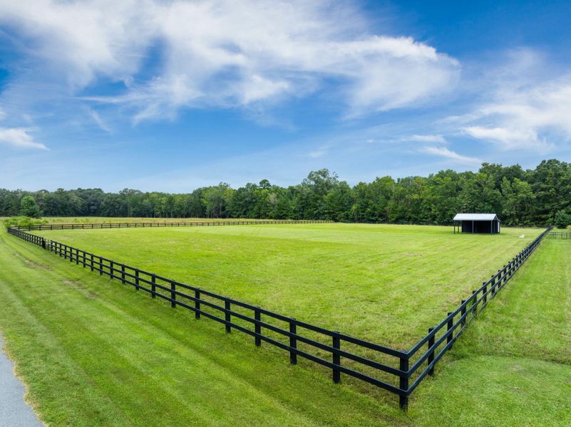 Natural landscape and outdoor views near  in Ravenel (Image 36).