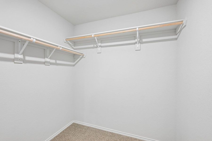Walk-in closet featuring light beige carpeting and white painted walls
