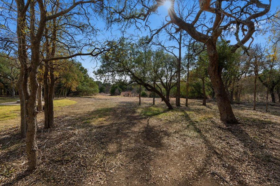 A spacious, naturally illuminated lot presents a canvas for building amidst mature trees and clear blue skies. A spacious, naturally illuminated lot presents a canvas for building amidst mature trees and clear blue skies.