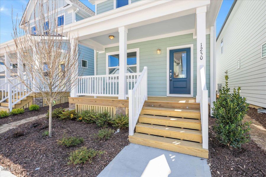 Model Representation Model Representation