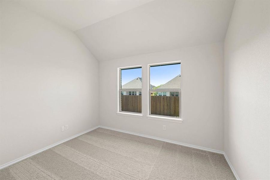4537 Aralia- Study-1 4537 Aralia- Study-1