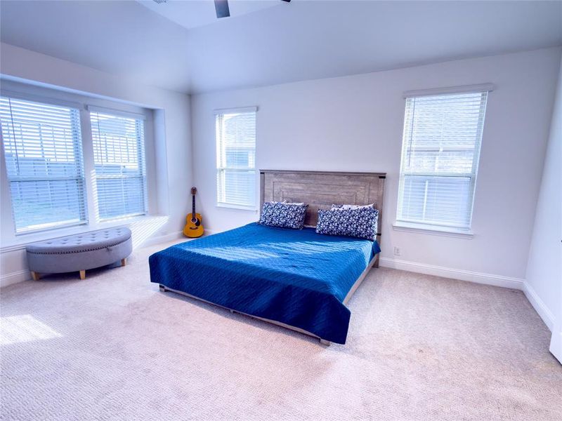 Carpeted bedroom with ceiling fan and lofted ceiling