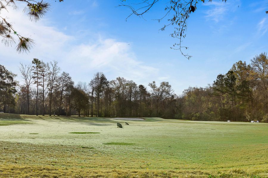 Natural landscape and outdoor views near  in Summerville (Image 23).
