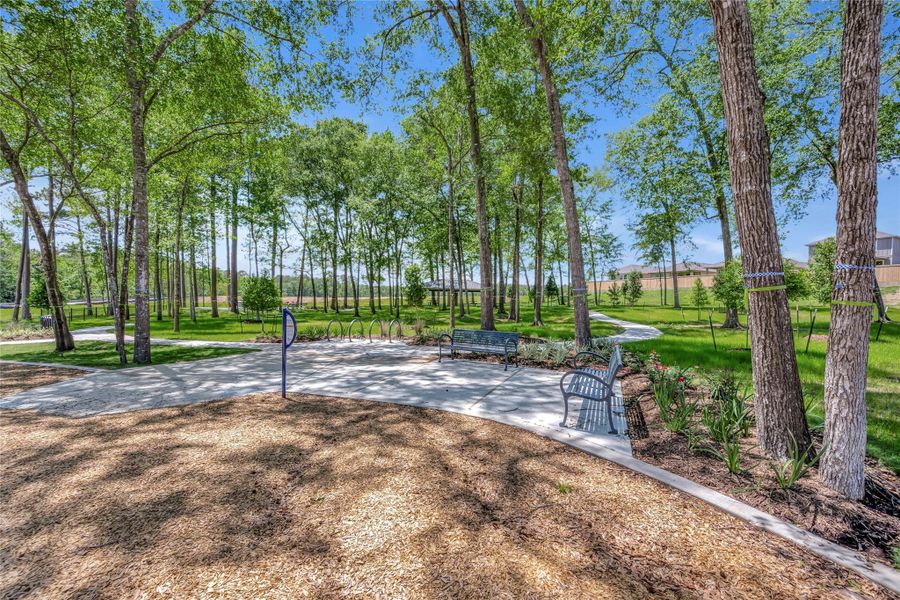Natural landscape and outdoor views near Pine Lake Cove - Classic Series in Montgomery (Image 4).