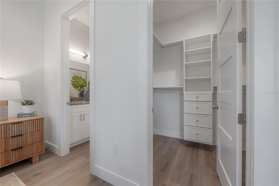 Furnished interior view inside a new home in , Tampa (Image 34). Furnished interior view inside a new home in , Tampa (Image 34).