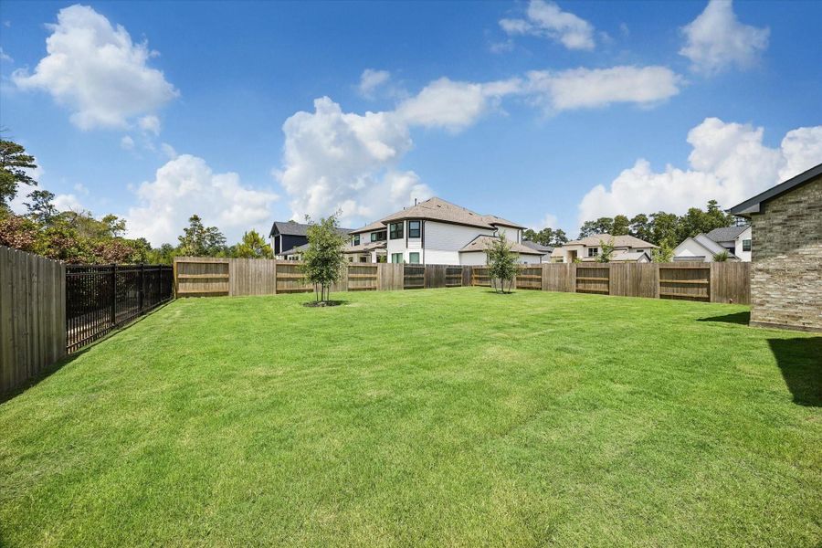 Incredible Backyard, plenty of space for a Pool/Spa, vegetable and herb gardens, or play equipment.