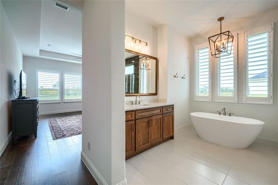Bathroom with vanity, a freestanding bath, and plenty of natural light
