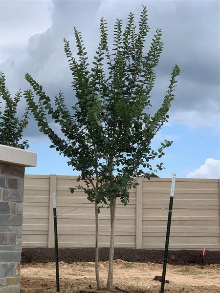 Image 9 of a home in Becker Meadows.