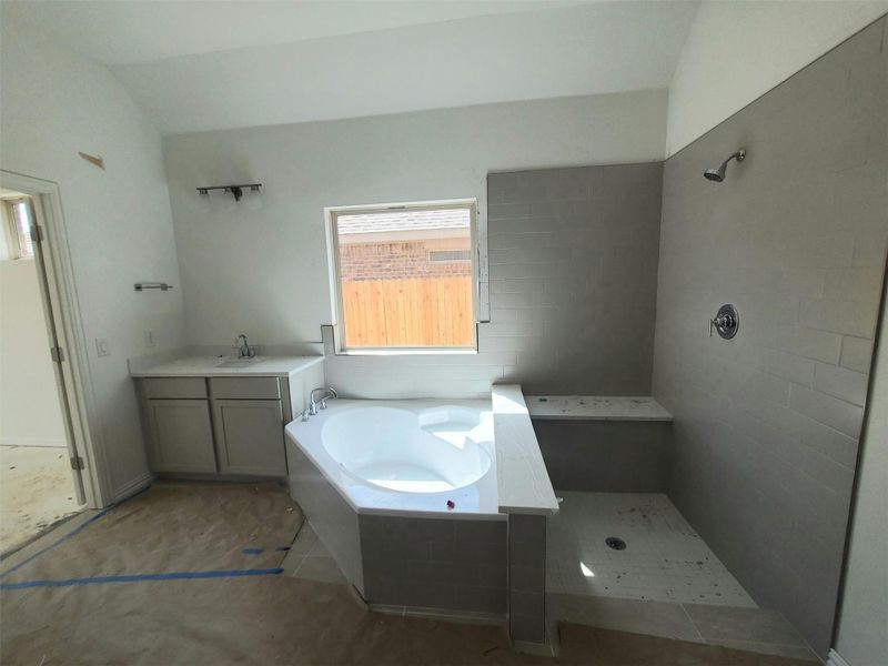 Bathroom with a sink, a garden tub, and a tile shower