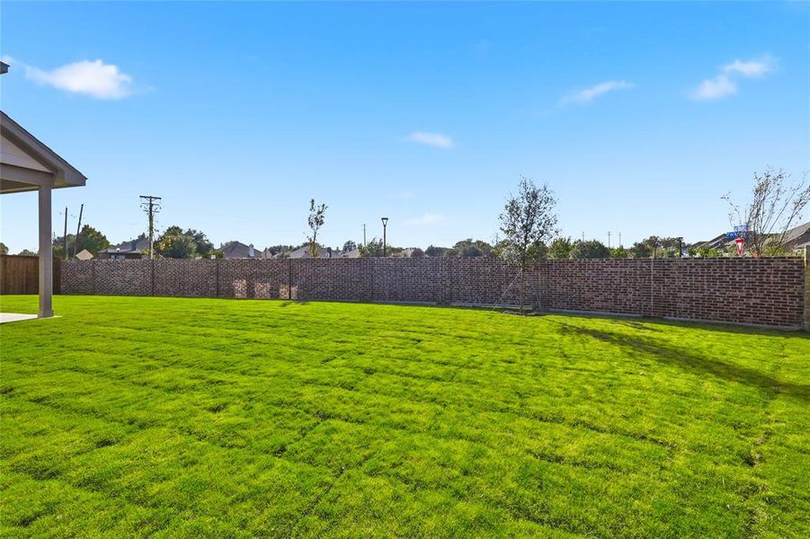 View of fenced backyard