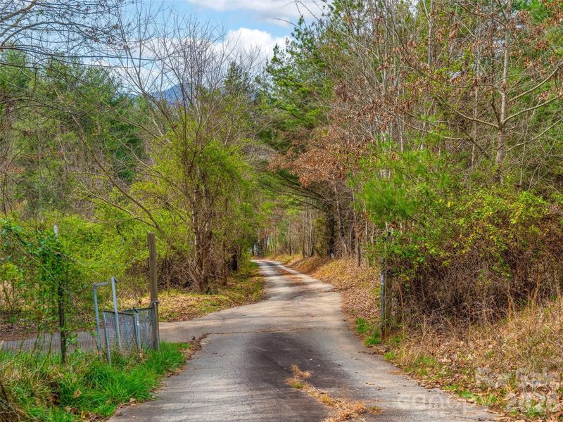 Natural landscape and outdoor views near  in Leicester (Image 9).