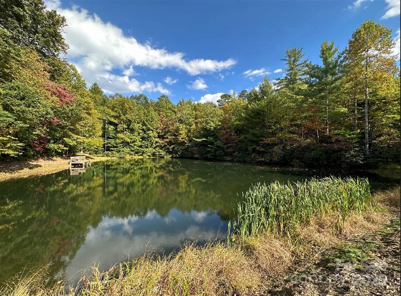 Natural landscape and outdoor views near  in Zirconia (Image 27).