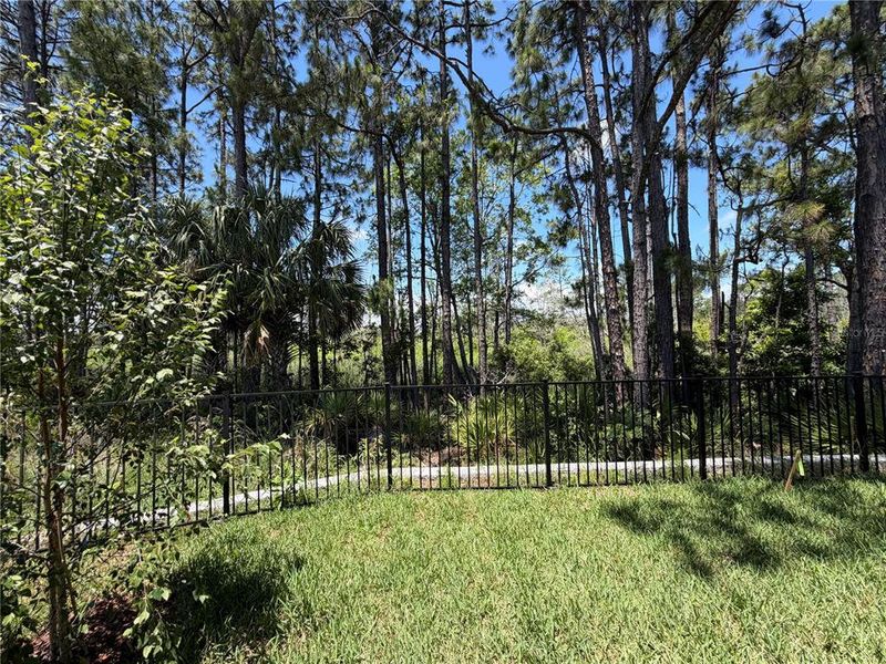 Natural landscape and outdoor views near Reserve East in Flagler Beach (Image 37).