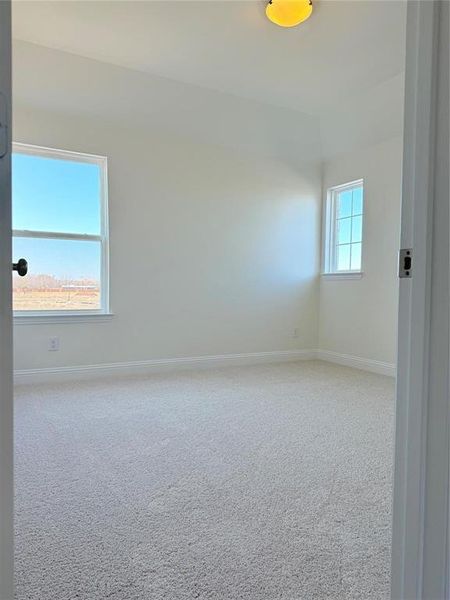 Unfurnished room featuring carpet flooring and baseboards