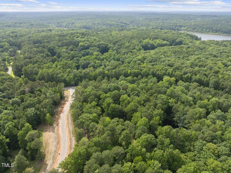 DJI_20250617163130_0122_D (Medium)