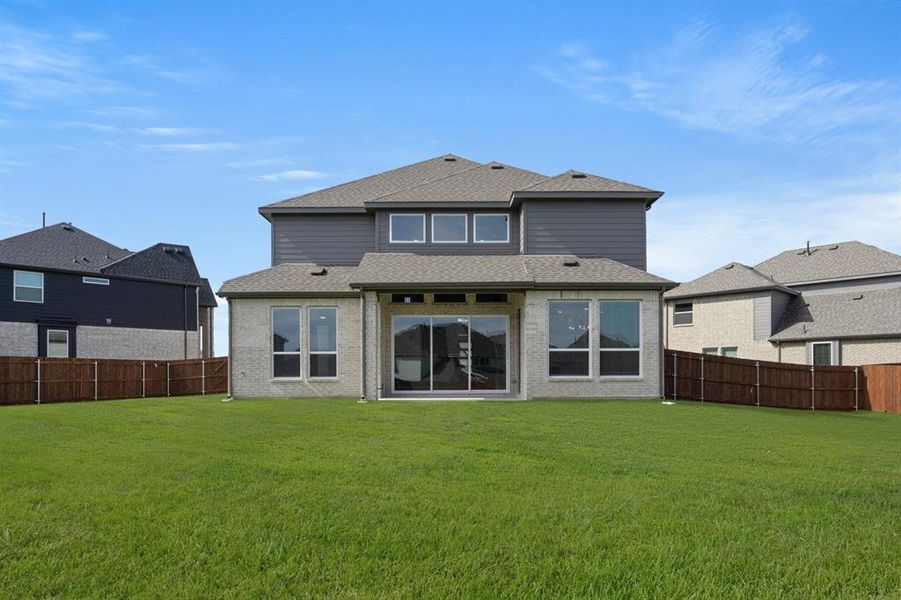 2215 Pelican- Back-1 2215 Pelican- Back-1