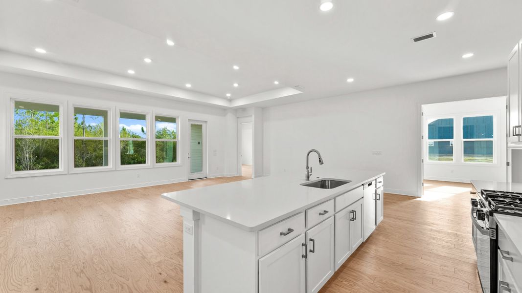 Island Kitchen & Great Room