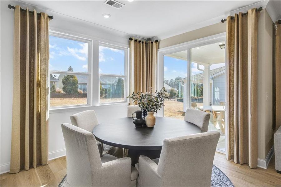 Furnished interior view inside a new home in Sun City Peachtree, Griffin (Image 7).