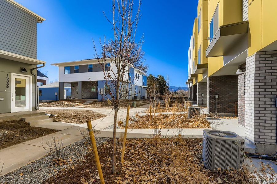 View from Front Yard