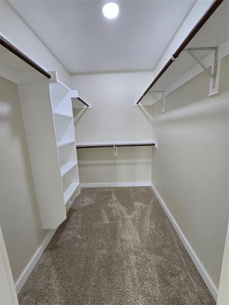 Walk in closet featuring carpet