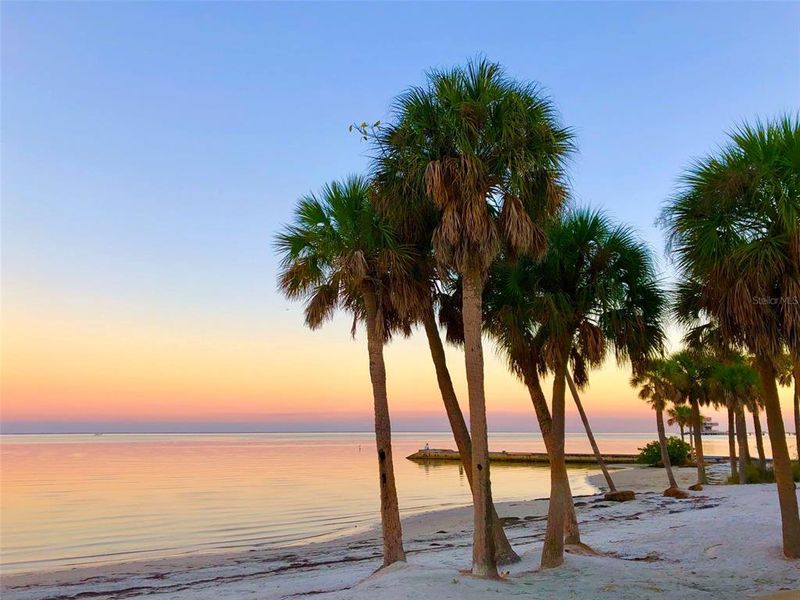 Image 38 of a home in Castille Urbana. Image 38 of a home in Castille Urbana.