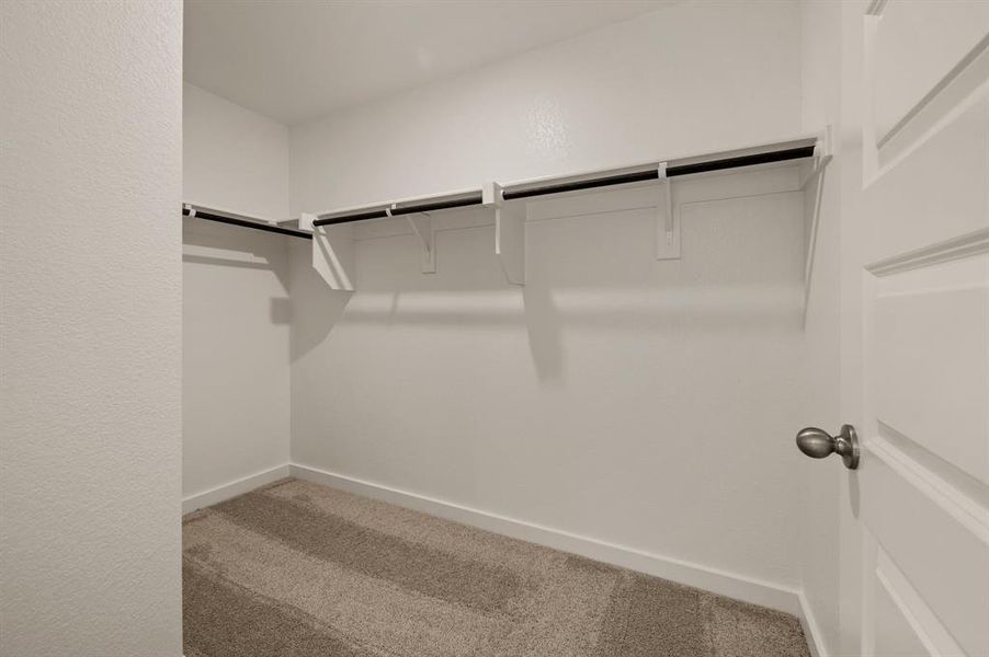 Spacious, unfurnished interior of a new home in Runaway Bay, Runaway Bay (Image 15).