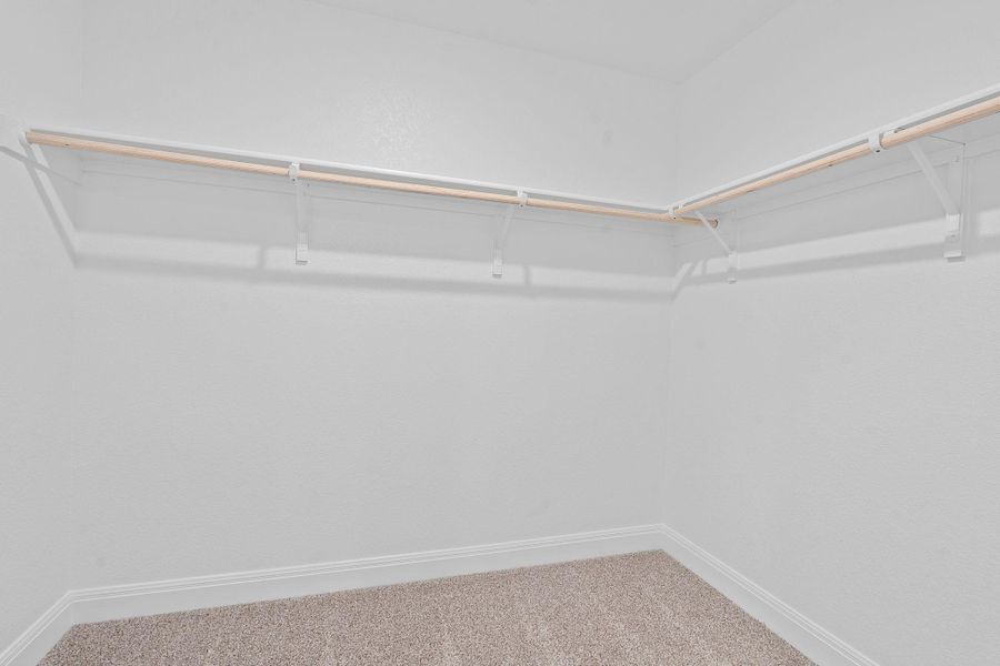 Spacious closet featuring carpet floors Spacious closet featuring carpet floors