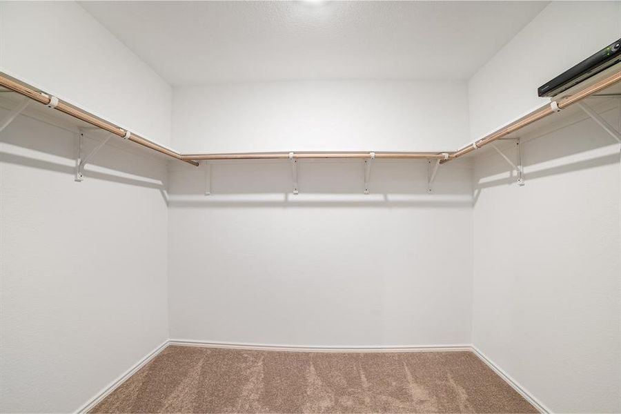 Spacious closet with carpet flooring Spacious closet with carpet flooring