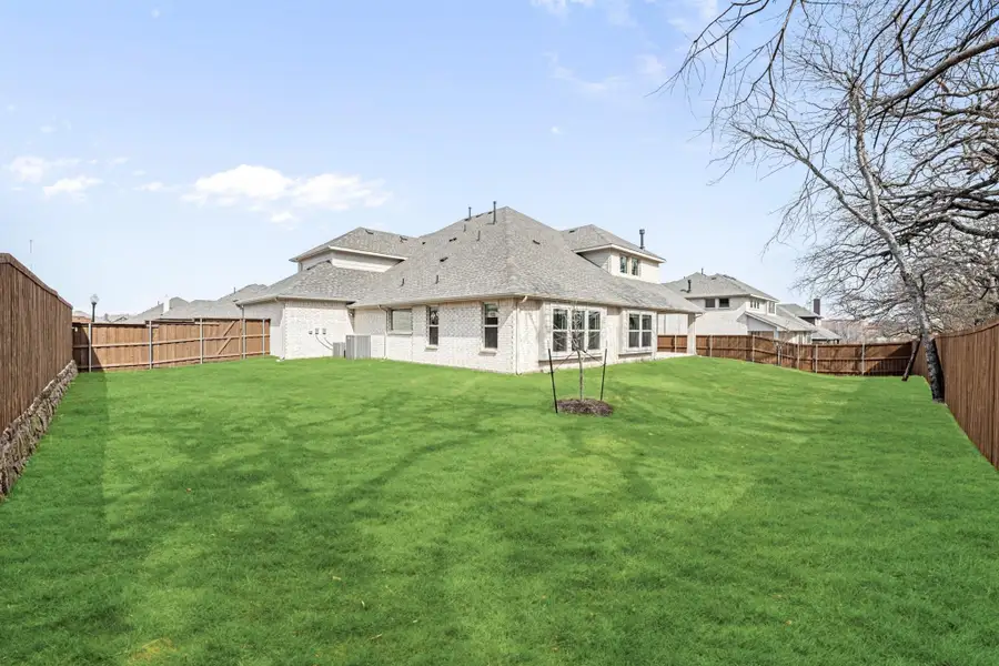 Backyard of brick home with large green lawn, wood privacy fence, and young tree sapling