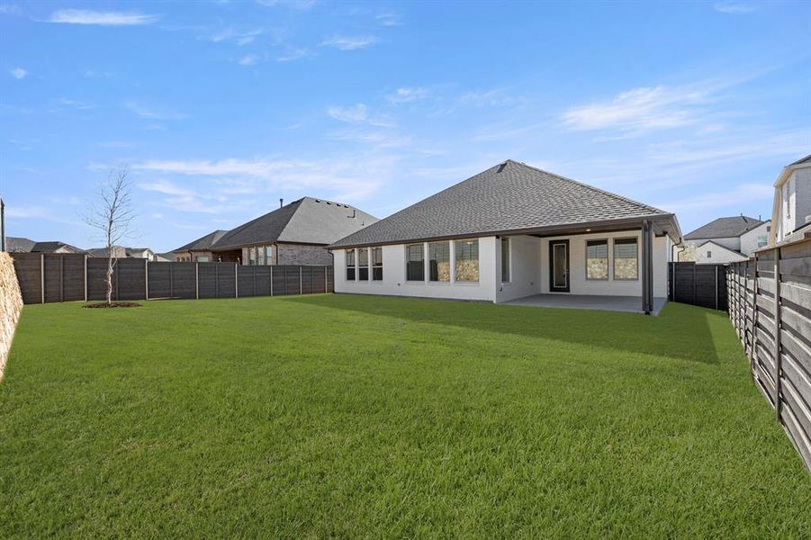 27. 7204 Camilla - Back (2)