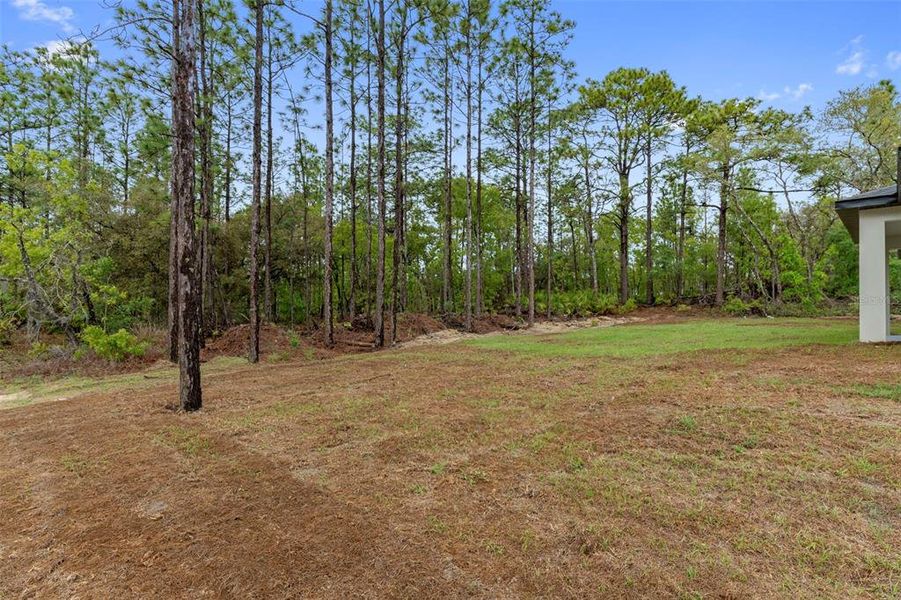 Natural landscape and outdoor views near  in Citrus Springs (Image 34).