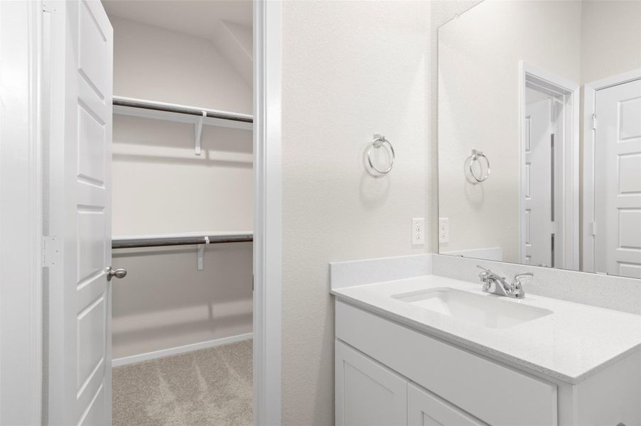Bathroom featuring vanity and a walk in closet