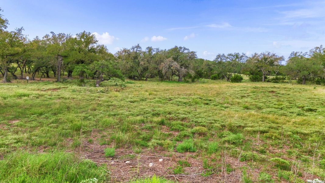 Natural landscape and outdoor views near  in Fredericksburg (Image 3).