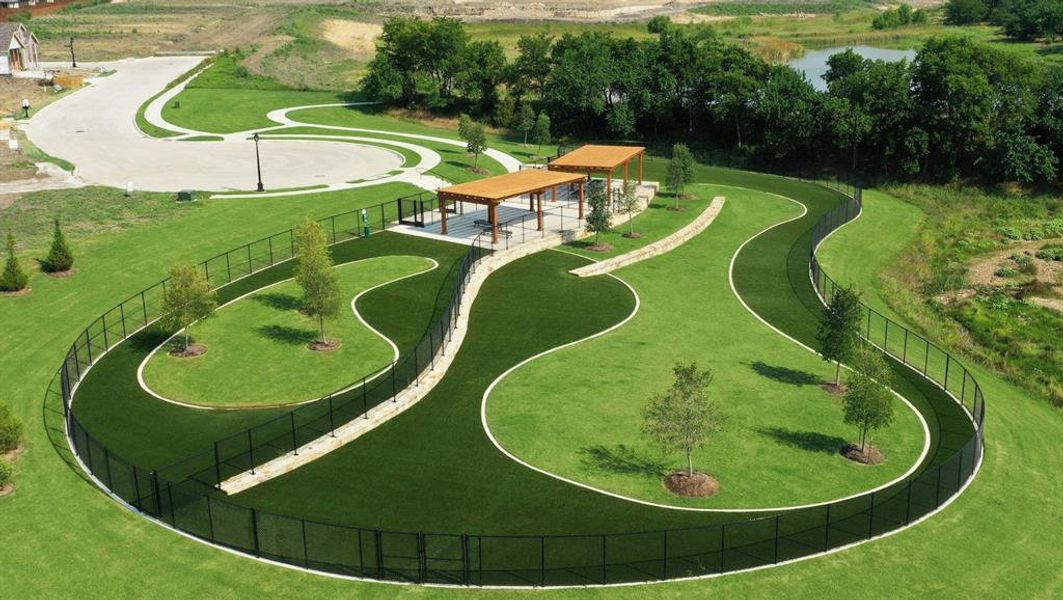4_Dog Park_2