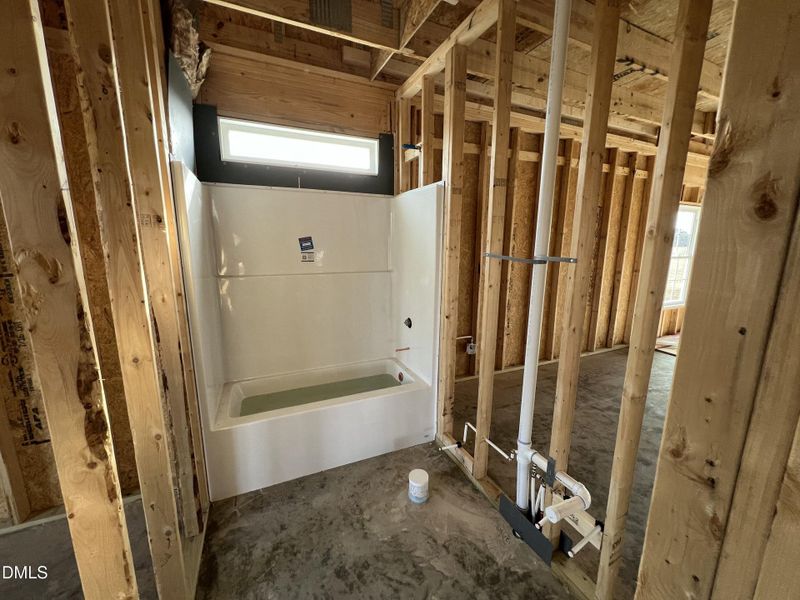 IMG_7480 2 IMG_7480 2