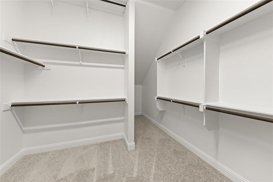 3606 Finnian  Closet