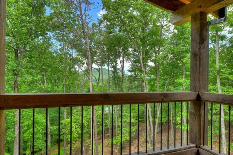 Exterior details and patio area of a home in , Blue Ridge (Image 17).