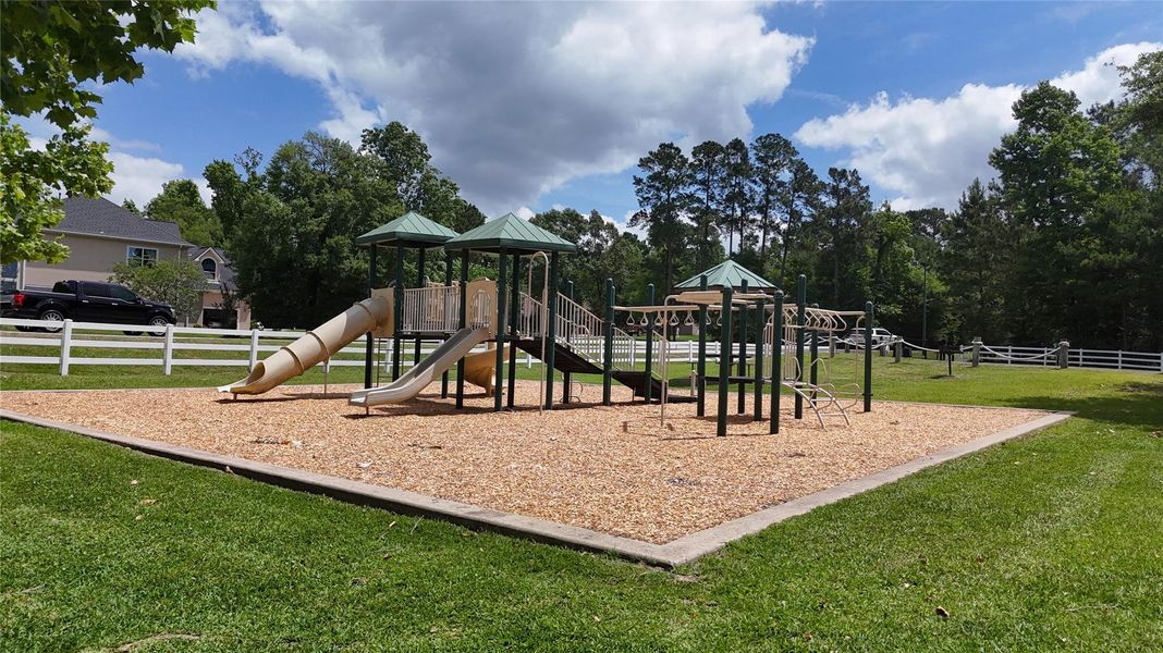 Community amenities in Ridgelake Shores, Montgomery (Image 41).