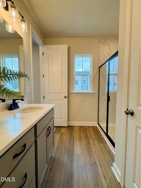 Holden 50 primary bath