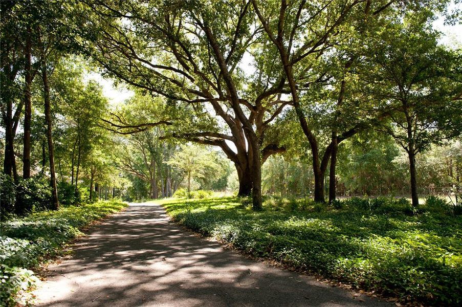 Natural landscape and outdoor views near  in Newberry (Image 3).