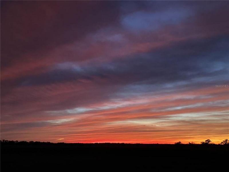 Natural landscape and outdoor views near  in Dade City (Image 65).